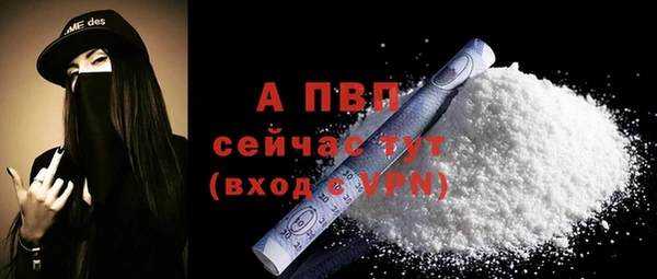 твердый Абаза