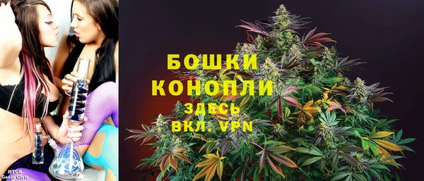 твердый Абаза
