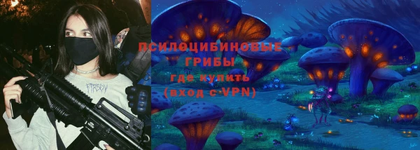 индика Алексеевка